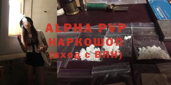 сатива Ельня
