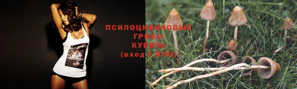 спиды Саяногорск