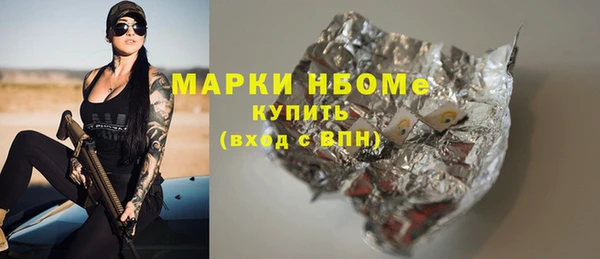 сатива Ельня