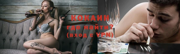 сатива Ельня