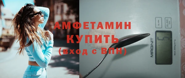 сатива Ельня