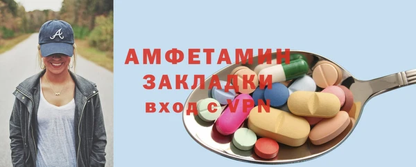 сатива Ельня