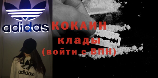 сатива Ельня
