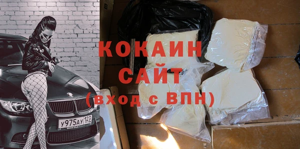 сатива Ельня