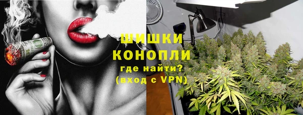 сатива Ельня