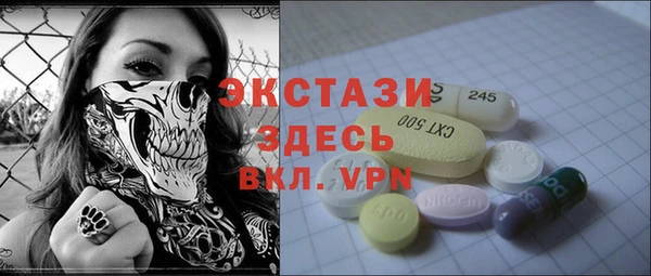 сатива Ельня
