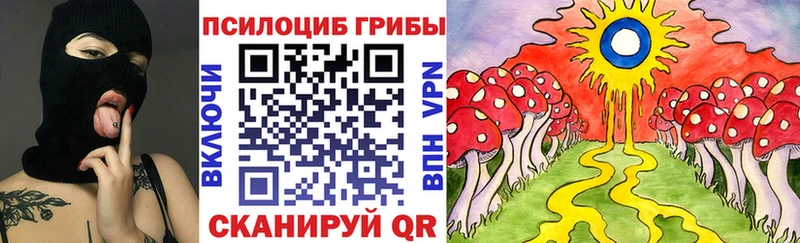 Купить  Кашин  Галлюциногенные грибы Psilocybine cubensis 